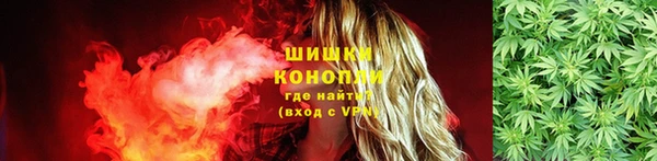 прущие крисы Надым
