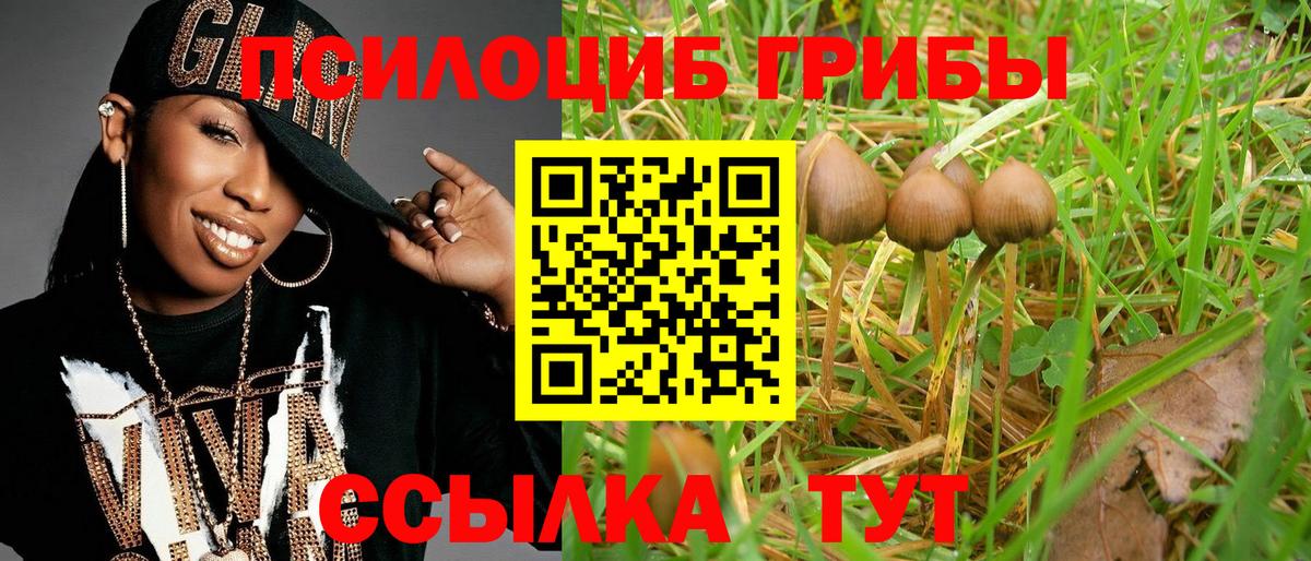 Псилоцибиновые грибы ЛСД Карпинск