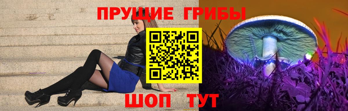Галлюциногенные грибы Magic Shrooms  Вход с VPN  Карпинск 